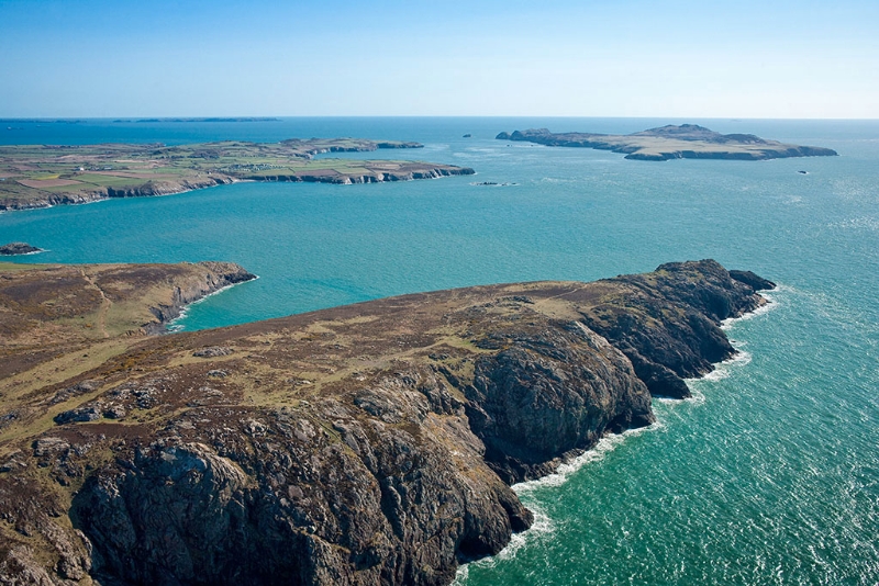 Ramsey Island (Ynys Dewi) St Davids Wales