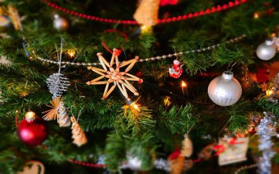 St David’s Christmas Markets
