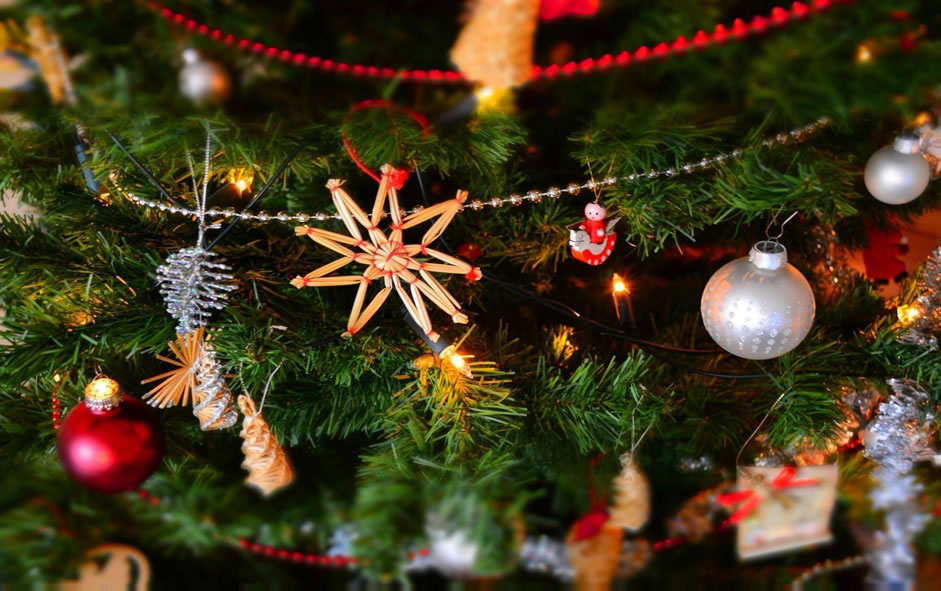 melin-tregwynt St Davids Christmas Markets
