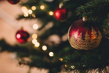 Picton Castle christmas tree - St Davids Christmas Markets