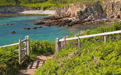 Porthlysgi