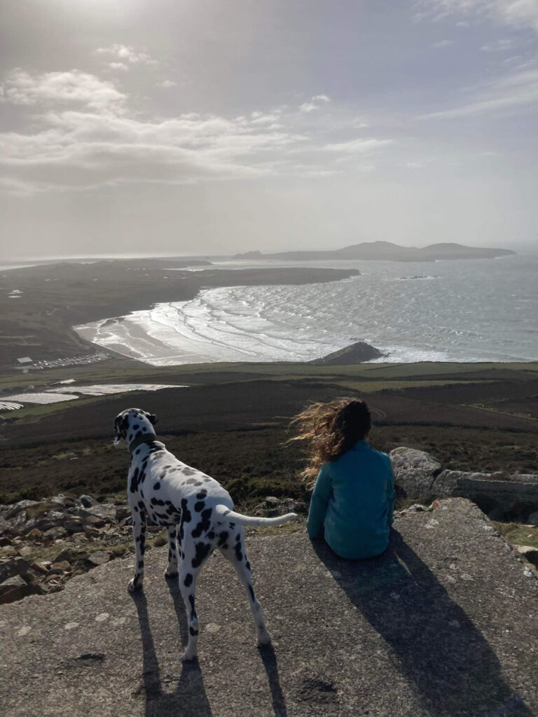 Dog Friendly St Davids