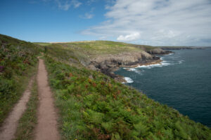the coast path between porthclais and porthlysgi