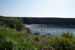 Caerfai Bay from the Coast Path