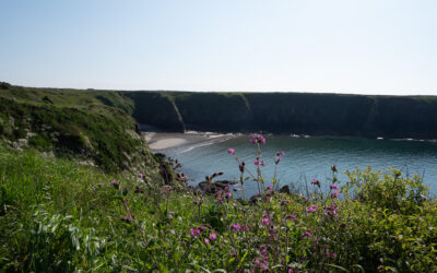 Caerfai Beach