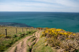 On the Pembrokeshire Coast Path