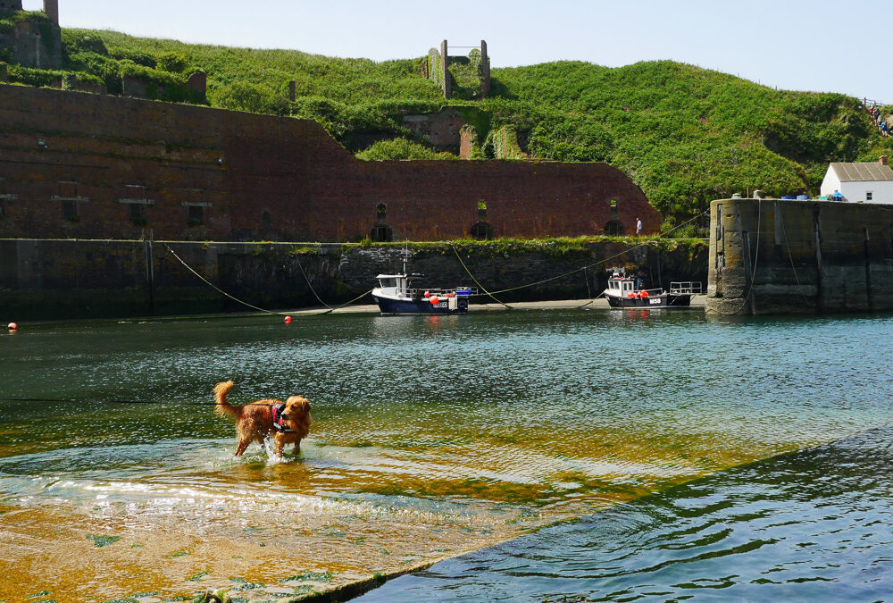 Porthgain Harbour