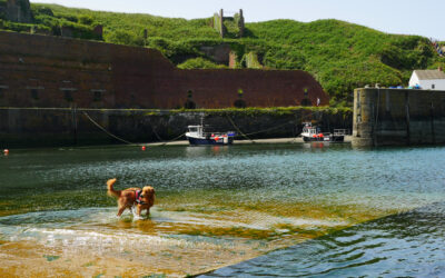Porthgain Harbour