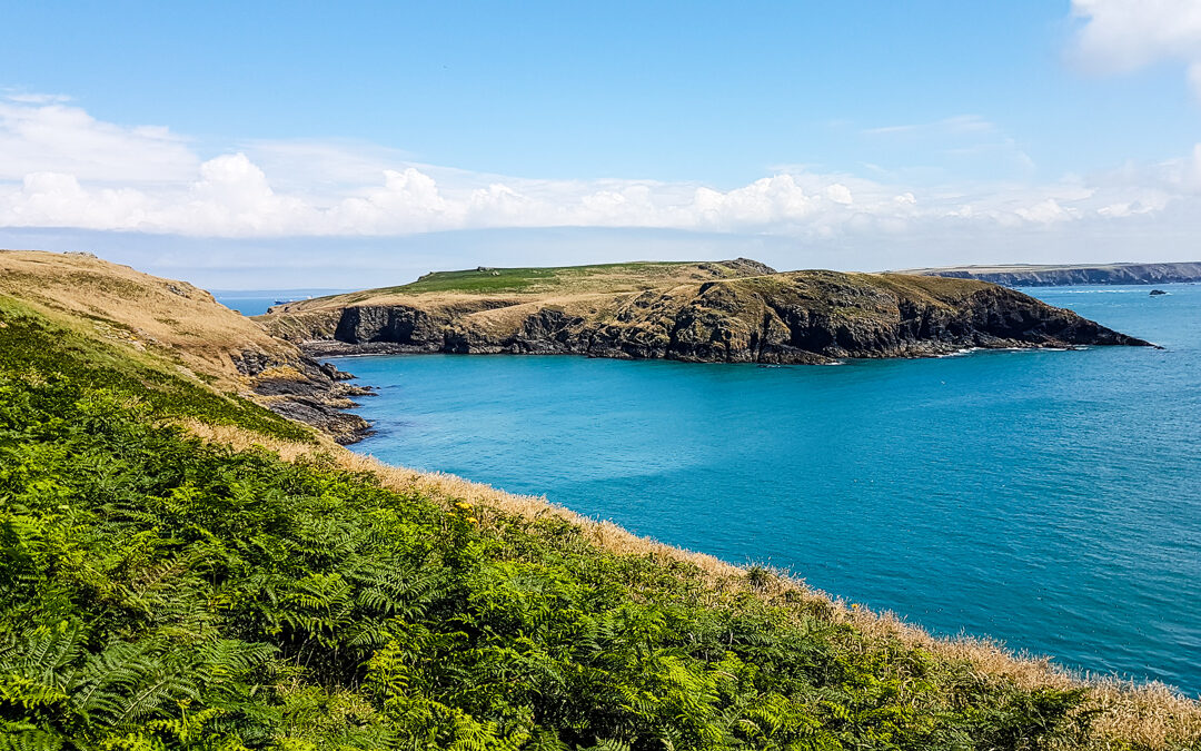 Skomer Island