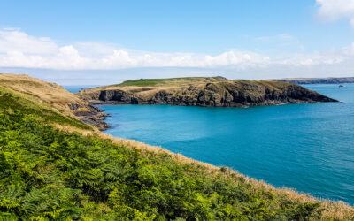 Skomer Island