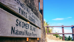 Skomer Island