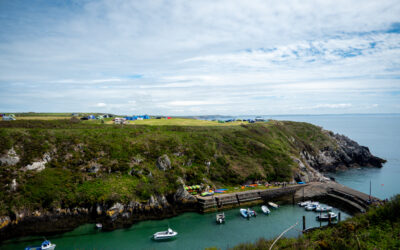 Porthclais Harbour