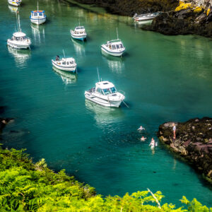 Swimming Porthclais Harbour